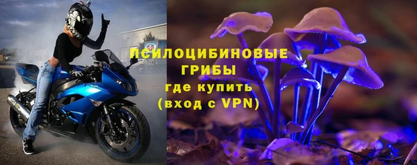 ГАЛЛЮЦИНОГЕННЫЕ ГРИБЫ Иннополис